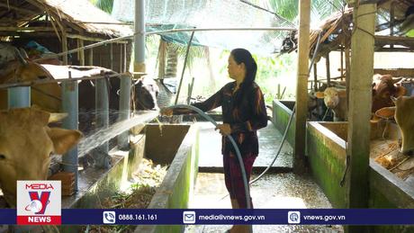 Chuyện làng - Chuyện bản [Tập 4]: Chuyển đổi mô hình sản xuất kém hiệu quả sang chăn nuôi bò theo hướng hàng hoá