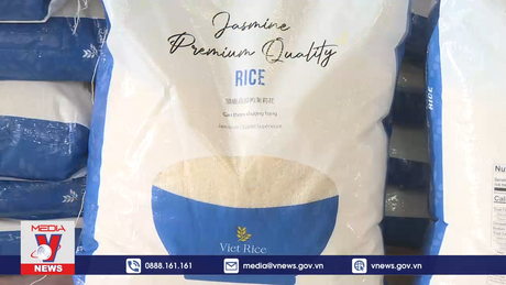 Đưa gạo Việt Nam khẳng định thương hiệu tại Canada