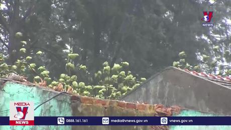 Biển Đông có thể đón bão vào tuần tới 