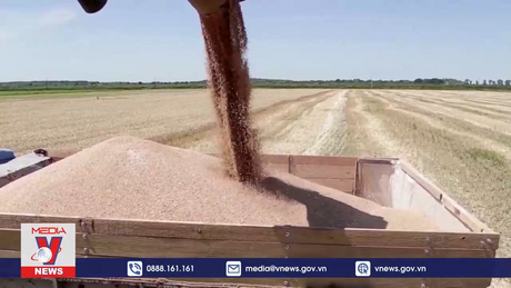 Tranh cãi về ngũ cốc không ảnh hưởng đến quan hệ Ukraine - Ba Lan