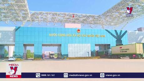 Hàng tấn tôm hùm không thể thông quan ở cửa khẩu Móng Cái 