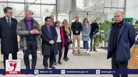 10 năm Đối tác chiến lược Việt Nam - Pháp