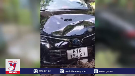 Làm rõ vụ việc nữ tài xế đâm người dân rồi bỏ chạy