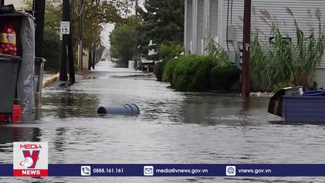 Bão Ophelia đổ bộ vào Mỹ