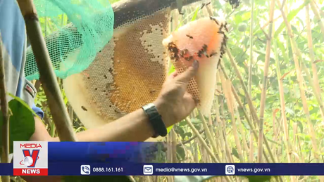 Đẩy mạnh du lịch nông nghiệp để phát triển nông thôn