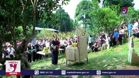 Về Suối Giàng dự lễ hội tôn vinh cây chè tổ 