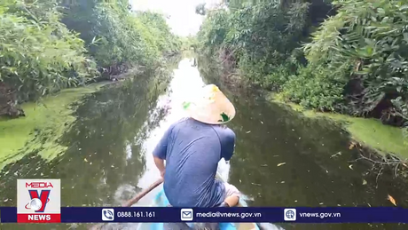 Gia đình hai thế hệ 20 năm bảo vệ chim trời