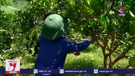 Bản tin thời sự 11h ngày 26/9/2023