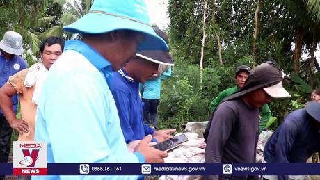 Vụ lúa Thu Đông có mức lợi nhuận cao nhất lịch sử