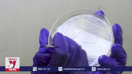 Cây kem đầu tiên trên thế giới làm từ nhựa