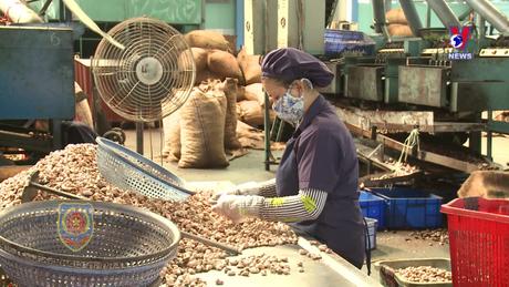 Hỗ trợ pháp lý: Lưu ý pháp lý cho doanh nghiệp khi xuất khẩu cafe sang EU