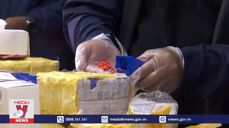 Thái Lan tịch thu lượng ma túy trị giá 8,15 triệu USD