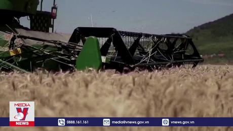 Ukraine nhất trí rút đơn khiếu nại 3 nước châu Âu