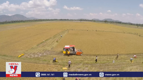 Xuất khẩu nông nghiệp vẫn tiếp tục đà giảm