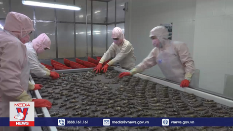 Chuỗi liên kết nông nghiệp vẫn thiếu kết nối