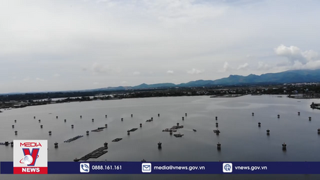 Cần chấm dứt tình trạng nuôi thủy sản trong khu neo đậu tàu cá An Hòa