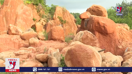 Bản tin thời sự 20h ngày 29/9/2023