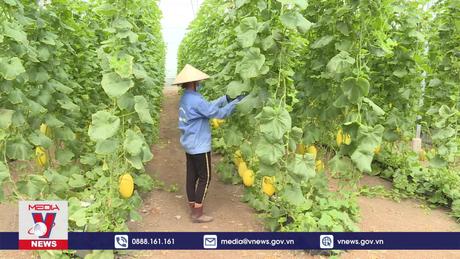 Xây dựng nông nghiệp, nông thôn TP.HCM hiện đại