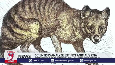 Phục hồi thành công RNA từ hổ đã tuyệt chủng