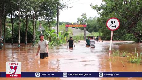 Nhiều diện tích cây trồng cây trồng, vật nuôi bị ngập do mưa lũ tại Bình Phước