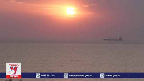 Thêm ba tàu chở hàng rời cảng của Ukraine