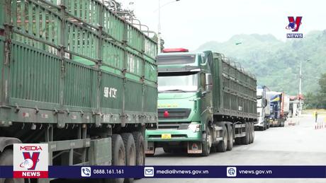 Bản tin thời sự 20h ngày 01/10/2023