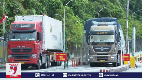 Lạng Sơn dừng tiếp nhận phương tiện chở hàng vào bãi Phi thuế quan