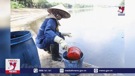 Tiến hành xử lý dầu thải bị đổ trộm trên mặt hồ Linh Đàm 