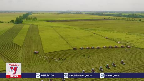 Hợp tác công - tư để đạt 1 triệu ha lúa gạo chất lượng cao