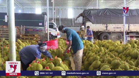 Bản tin thời sự 17h ngày 02/10/2023