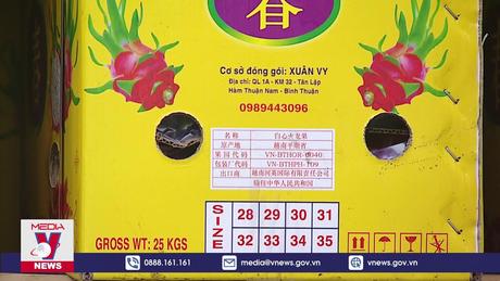 Trung Quốc giảm nhập khẩu thanh long Việt Nam