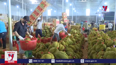 Bản tin thời sự 18h ngày 03/10/2023