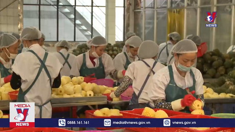 Ngoại giao kinh tế đưa nông sản Việt vươn xa 