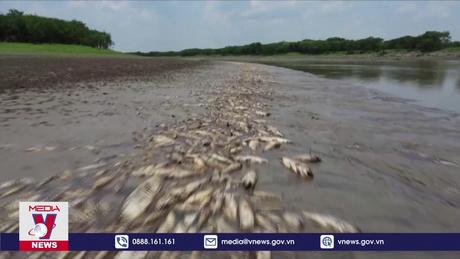 Hạn hán nghiêm trọng gây khủng hoảng ở Brazil