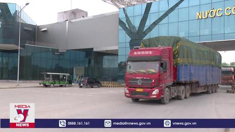 Kim ngạch xuất nhập khẩu qua Cửa khẩu quốc tế Móng Cái đạt hơn 2,6 tỷ USD