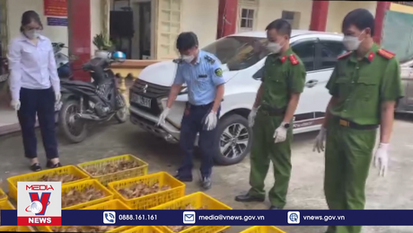 Lạng Sơn thu giữ lượng lớn con giống gia cầm nhập lậu