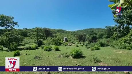 Thông tin chính thức về chuyển gần 12 ha rừng làm khu nghỉ dưỡng 