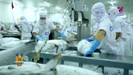 Hỗ trợ Pháp lý: Thực thi gói lãi suất ưu đãi hỗ trợ doanh nghiệp lâm, thủy sản