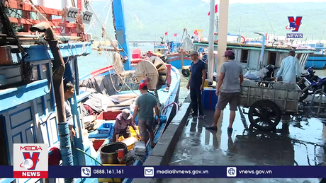 Bản tin thời sự 11h ngày 06/10/2023