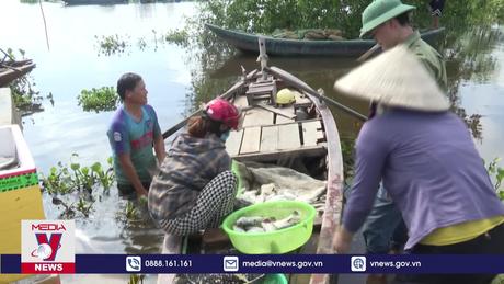 Tìm nguyên nhân 50 tấn cá lồng bị chết tại Hà Tĩnh