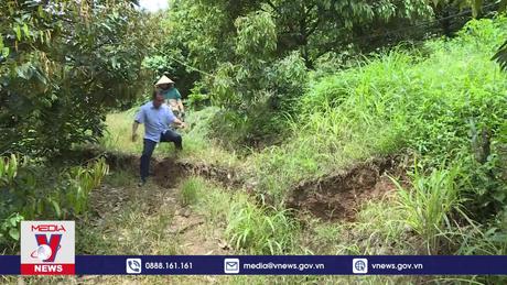 Sạt trượt, sụt lún bất thường tại Nhân Cơ, Đắk Nông