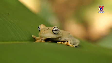 Cuộc sống xanh ngày 08/10/2023