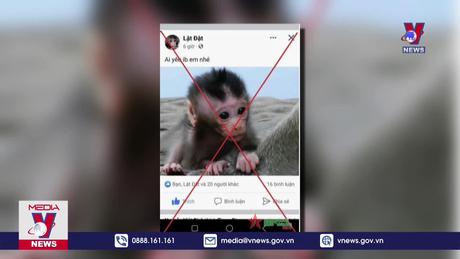 Hơn 1.400 vụ vi phạm về động vật hoang dã trên mạng 