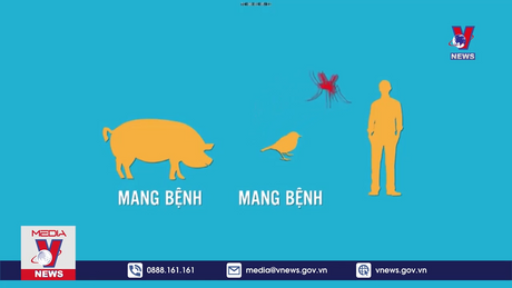 Bản tin thời sự 20h ngày 09/10/2023