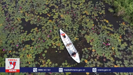 Long An - điểm đến hấp dẫn của du lịch sinh thái