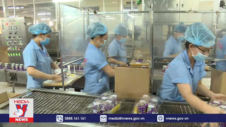 Giá đường tăng cao, doanh nghiệp gặp khó  