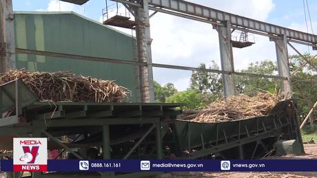 Sẽ nhập khẩu 119.000 tấn đường thông qua đấu giá