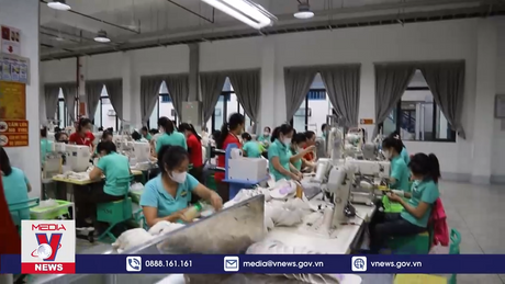 Công nhân Công ty Viet Glory đã đi làm trở lại