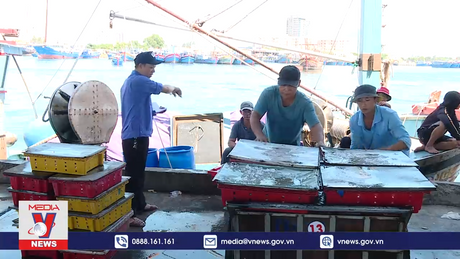 Đà Nẵng sẵn sàng cho đợt kiểm tra IUU của EU