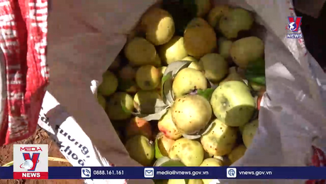 Bản tin thời sự 8h ngày 10/10/2023